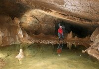 Grotte de la Doye (39)