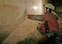 Lésine du Miroir (39)