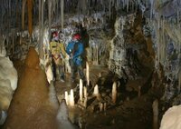 Borne aux Cassots (39)